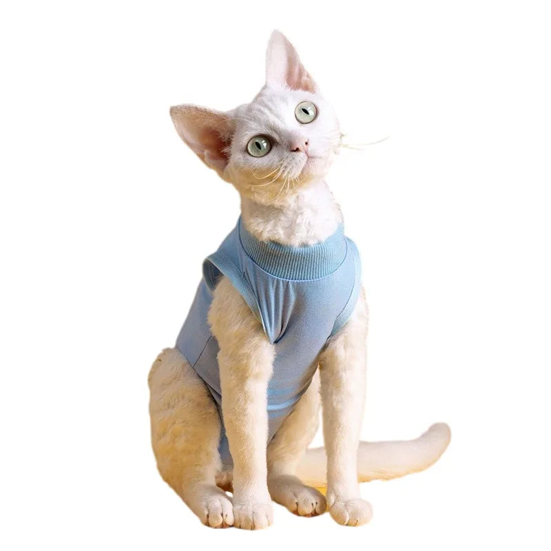 Anti-licking Cat Weaning Recovery Suit for Cats Happy Phoenix