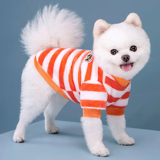 Pawfect Cozy Hoodie for Small Dogs Happy Phoenix