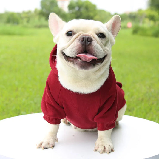 Small Cat/Dog Hoodie Sweatshirts with Pockets Happy Phoenix